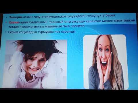 Видео: Эмоция жана сезимдер