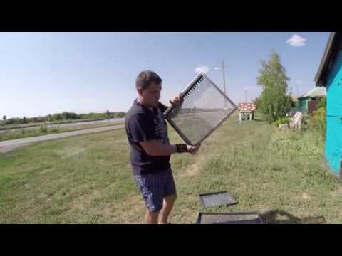 Видео: Про чеснок 2018: калибровка бульбочки.