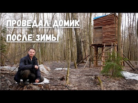 Видео: Домик над землёй #8 / Стоимость постройки, берёзовый сок, работа с дымоходом.