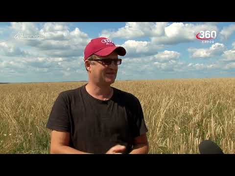 Видео: Дороги деревенские 13.08