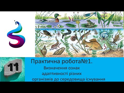 Видео: Практична робота№1. Визначення ознак адаптивності різних організмів до середовища існування.