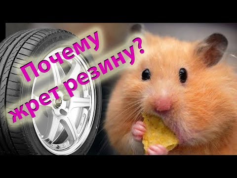 Видео: Почему жрет АВТОрезину (покрышки)