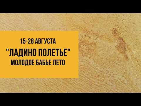 Видео: ЛАДИНО ПОЛЕТЬЕ 15-28 АВГУСТА