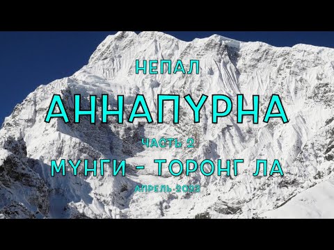 Видео: Непал. Фильм 7. Аннапурна. Часть 2. Мунги - Торонг Ла