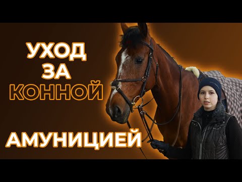 Видео: Уход за конноспортивной амуницией