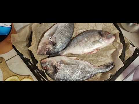 Видео: Ципура на фурна/Baked sea bream