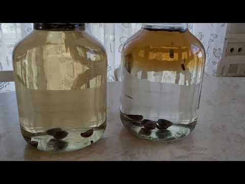 Видео: ЛЮКССТАЛЬ 7 ДУБ И МАКАДАМИ КАК НАСТАИВАТЬ?