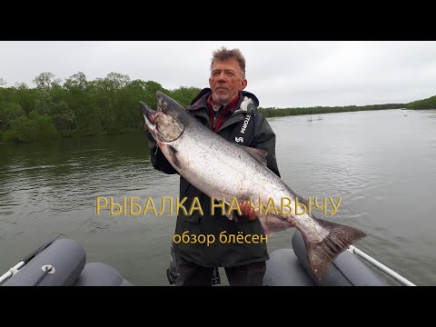 Видео: РЫБАЛКА НА ЧАВЫЧУ обзор блёсен