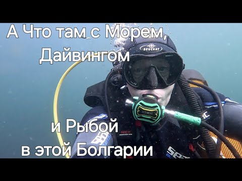 Видео: Болгария. Какое здесь Море, Дайвинг и Подводный Мир?