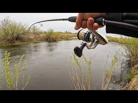 Видео: ВОТ ЧТО щуке НУЖНО ПОСЛЕ НЕРЕСТА! Рыбалка на спиннинг на реке в 2025