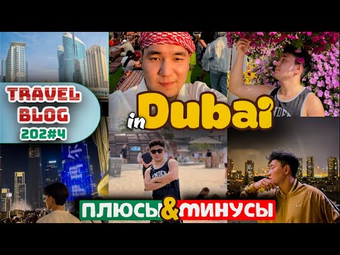 Видео: OAE | Dubai🇦🇪 Вся правда о Дубае. Самые выгодные места на Новый год❄️