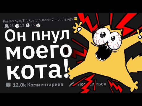 Видео: Что Сделал Человек, После Чего Вы Сразу Возненавидели Его?