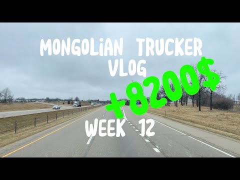 Видео: Амжилттай ажлын өдрүүд +8200$ WEEK 12