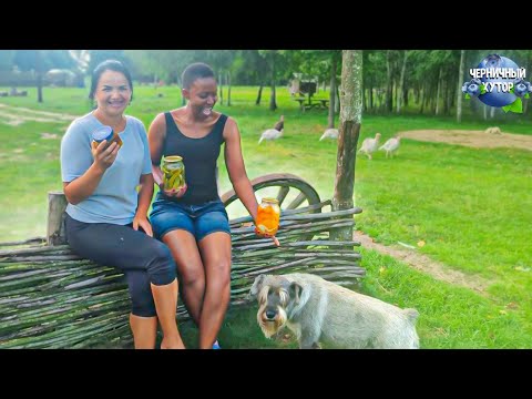 Видео: Необычная жизнь началась на белорусском лесном хуторе. Первый розжиг мангальной зоны в барбекю