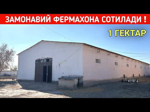 Видео: ЯНГИАРИКДА ЗАМОНАВИЙ ФЕРМАХОНА СОТИЛАДИ ( 1ГЕКТАРДА ЖОЙЛАШГАН ) ХОРАЗМ БОЗОР