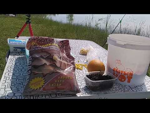 Видео: КИПРИНО