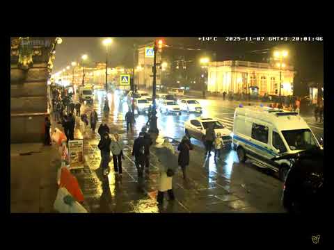 Видео: Одиночный пикет 7 ноября у Елисеевского магазина Санкт-Петербург - разбор трансляции