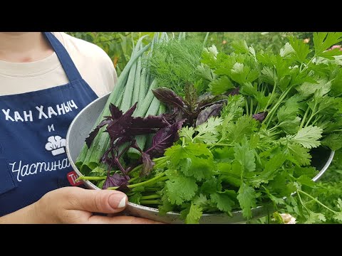 Видео: Очень ВКУСНЫЙ рецепт с Зеленью!