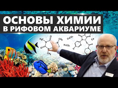 Видео: ОСНОВЫ ХИМИИ В РИФОВОМ АКВАРИУМЕ. Лу Экус: "Химия в рифовом аквариуме - это просто и интересно!"