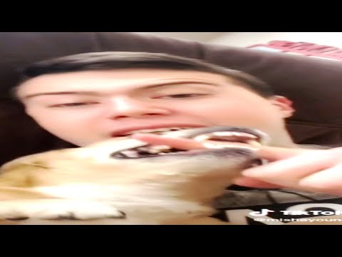 Видео: парень и чихуахуа