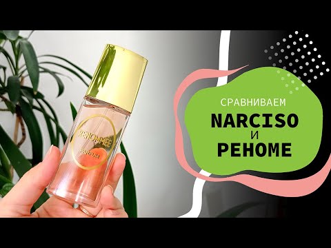 Видео: Реноме = Нарцисо??? | 😲Неожиданное сравнение | Новая Заря удивляет!