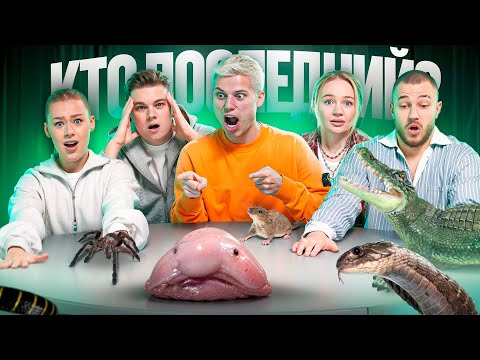 Видео: КТО ПОСЛЕДНИЙ УБЕРЕТ РУКИ! ЗАБИРАЕТ 100.000 **ПОПРОБУЙ НЕ ДВИГАТЬСЯ**