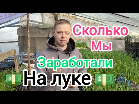 Видео: Сколько мы заработали на луке за неделю.