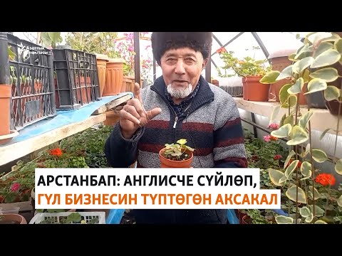 Видео: Арстанбап: англисче сүйлөп, гүл бизнесин түптөгөн аксакал