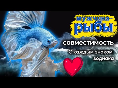 Видео: Мужчина Рыбы и совместимость со знаками зодиака ♓ | Полный разбор отношений и любви