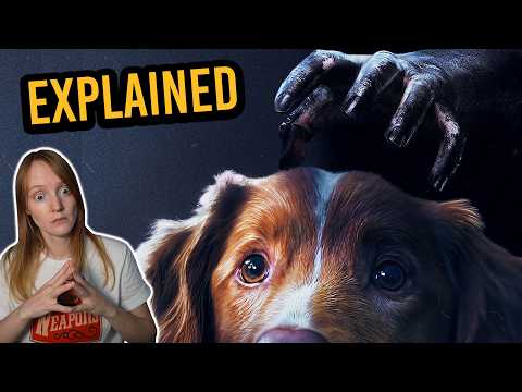 Видео: Фильм ужасов от лица собаки | GOOD BOY Explained