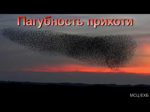 Видео: "Пагубность прихоти". Я. Я. Янц. МСЦ ЕХБ.