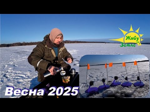 Видео: Жерлицы на Судака и Берша. Рыба клюёт! Зимняя рыбалка