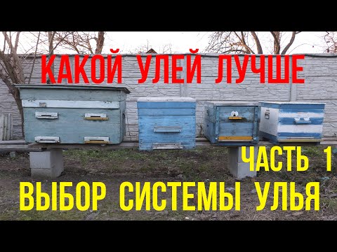 Видео: Какой улей лучше ,какую систему пчеловодства  выбрать улей лежак. улей дадан  на 12 рамок . ЗИМОВКА