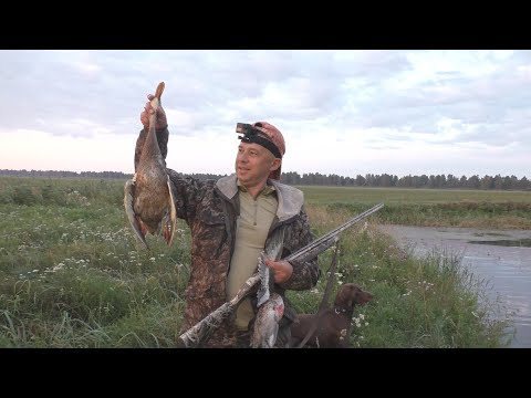 Видео: ОТКРЫТИЕ ОХОТЫ НА УТОК 2025!!!!УТКА В ПЕЧКЕ ПО-ДЕРЕВЕНСКИ!!!