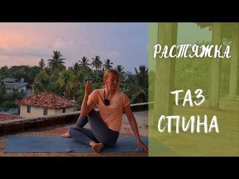Видео: Растяжка для ног и спины/ Стретчинг