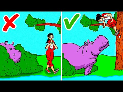 Видео: Как действовать при встрече с горным львом, медведем и другими дикими животными