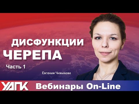 Видео: Вебинар: Краниальные нарушения. Часть 1 (Е. Чижикова)