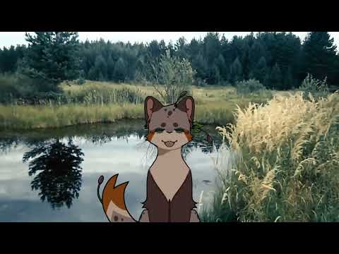 Видео: Мои 5 любимых МАПов по КВ 