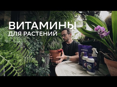 Видео: ВИТАМИНЫ ДЛЯ РАСТЕНИЙ