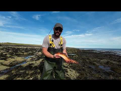 Видео: Ловля трески в открытом море