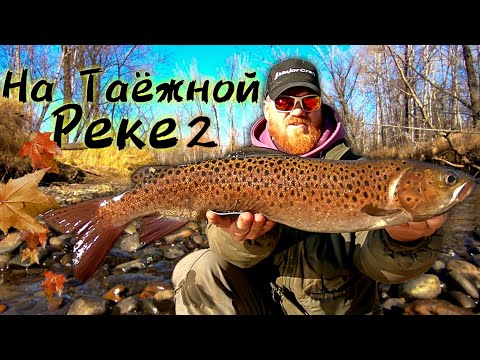 Видео: Наловили ленка. Наши приманки для малых таежных рек.