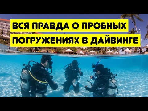 Видео: Вся правда о пробных погружениях в дайвинге