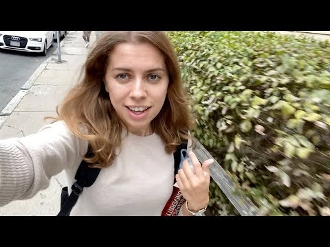 Видео: Ни одного экзамена и теста: как учат в Гарварде! Гарвард влог | Эпизод #14