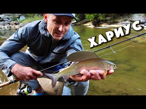 Видео: Рыбалка на Хариуса. Рыбалка в Карпатах. Рыбалка на Форель (3 серия)