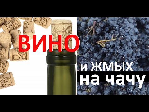 Видео: Домашнее вино и чача из одного винограда