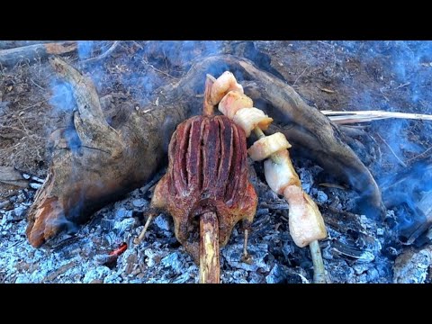 Видео: Аңшылықта үйректі отқа ыстап жедім. Duck hunting and cooking right away