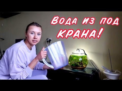 Видео: КРУГЛЫЙ АКВАРИУМ || ПОДМЕНА ВОДЫ