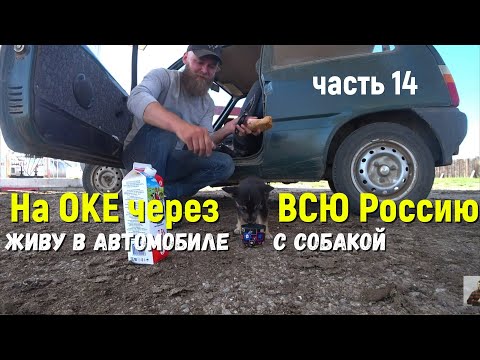 Видео: Покидаю остров Ольхон. Байкал- чудо света. Жизнь и путешествие на автомобиле ОКА. Пёс-путешественник