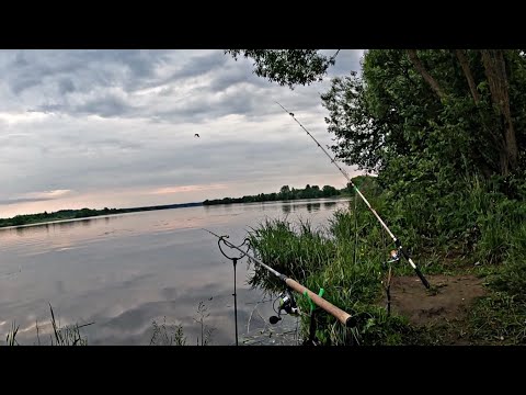 Видео: РЫБАЛКА НА ВОЛГЕ 2025! ГОТОВИМ ЛАГМАН НА ПРИРОДЕ!
