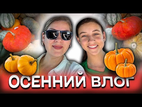 Видео: Актуальный влог/Ураган в Северной Каролине/Лев купил машину #жизньвсша #гринкарта